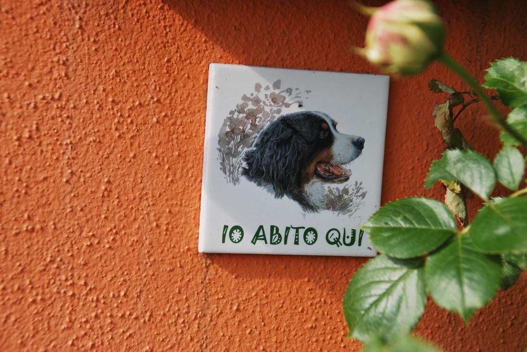 Villetta Gaia Colle Umberto  Exterior foto